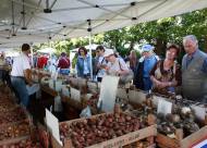 Mostra-mercato Vanzo Floreale 2010